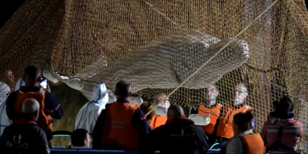 salvare balena beluga din Sena 9 august 2022 Foto AFP