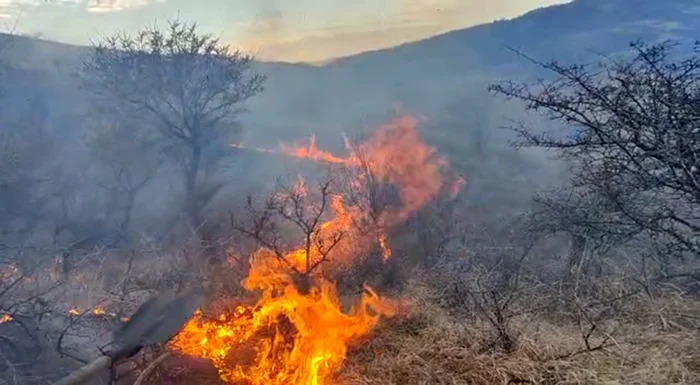 Sursa ISU Buzău