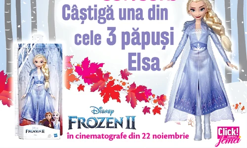 2 2019 concurs fb elsa frozen 740x500 pixeli jpg jpeg