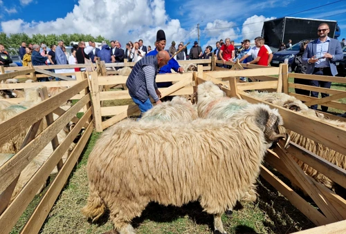 Toamna e începutul sau sfârșitul unor importante activități pastorale. Foto Facebook Petre Daea 