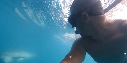 Inotator alaturi de delfini