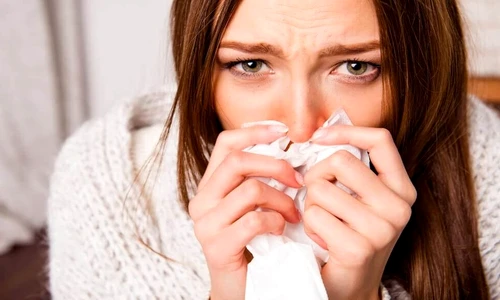 1 81286 original jpg jpeg