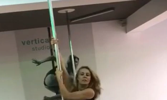 Dana Savuica dans la bara jpeg