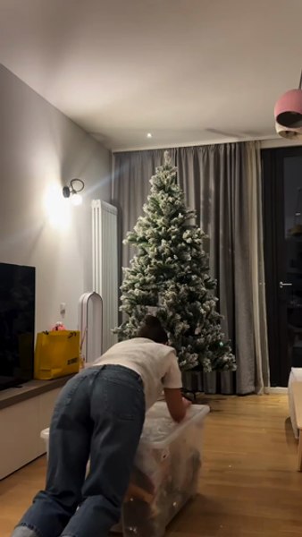 Alexia Eram și-a decorat bradul de Crăciun cu globuri în formă de cartofi prăjiți, muștar și ketchup. Cum arată