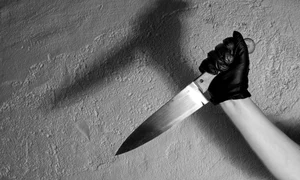 CLIIMA20090922 0263 1 jpeg