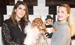 nunta caini12547 jpeg