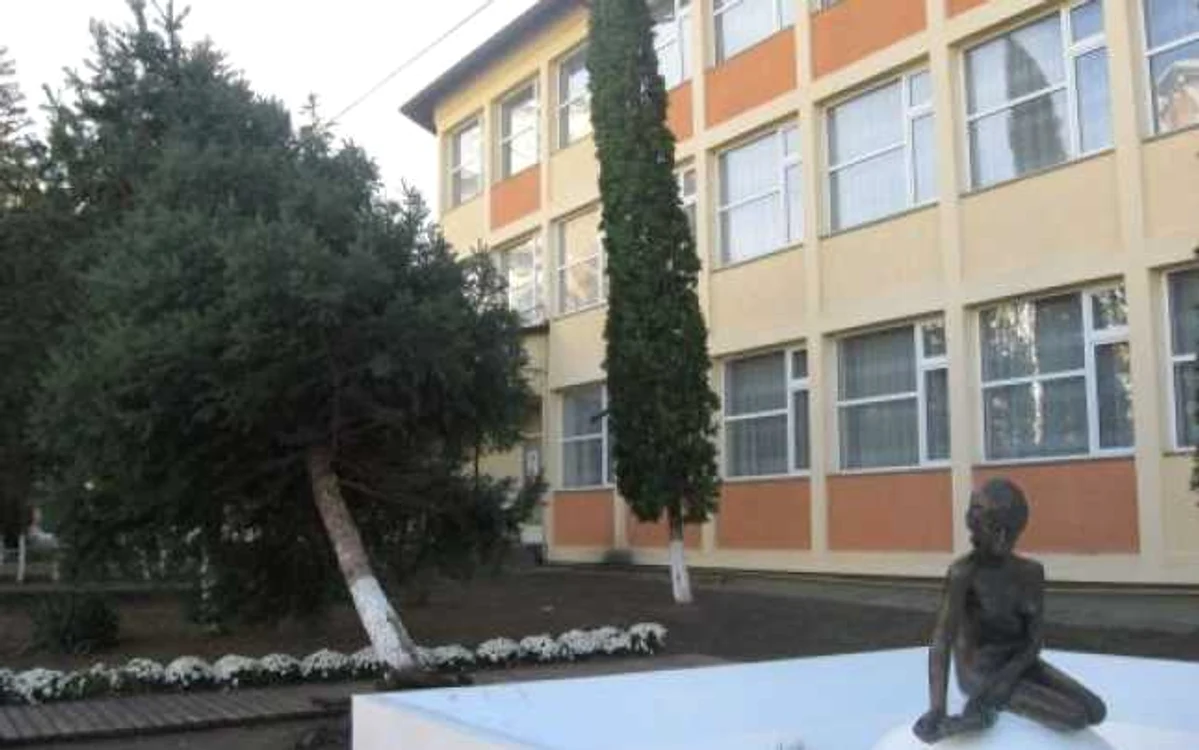 Mica Sirenă a scăpat teafără (2)