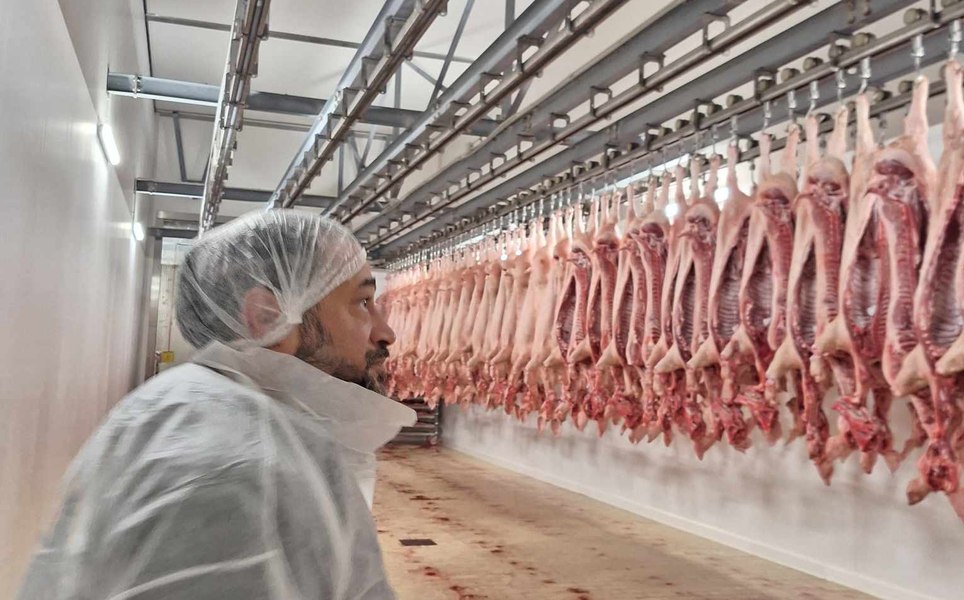 Alertă privind carnea de porc din România. Ce spun marii fermieri ai țării FOTO VIDEO 