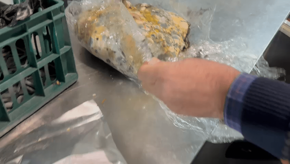 Pericol în bucătăria unei cherhanale de pe litoral: excremente de animal și produse expirate din 2019 VIDEO