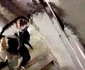 arestare la tribunalul caras severin
