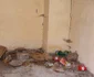Interior din casă