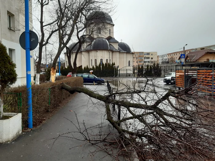 
    În județul Brașov, vântul a suflat la rafală cu 90 km/h, iar timp de o oră a avut viteză de 100 km/hFoto: bzb.ro  