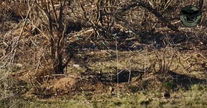 FOTO: Captură Video