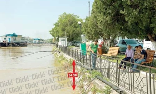 CLIIMA20140523 0193 1 jpeg