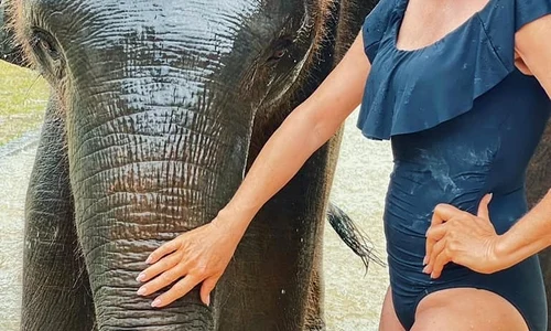 1 jane seymour in costum de baie la 70 de ani 1 jpg jpeg