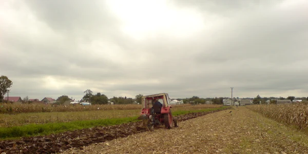 Foto Adevărul/Agricultorii îşi rup utilajele în pământul tare ca betonul 