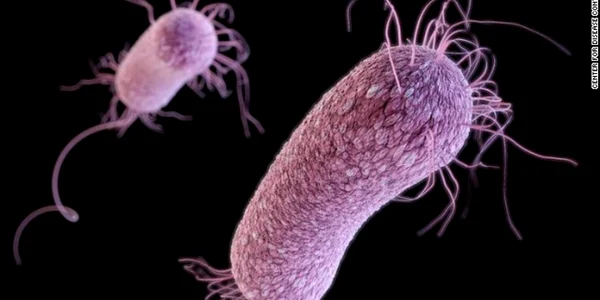 bacterii intraspitalicesti