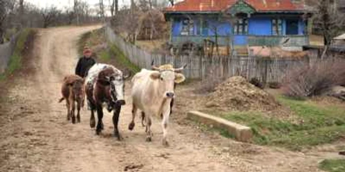 Majoritatea drumurilor din zona rurală nu sunt asfaltate în Moldova. FOTO: Adevăru