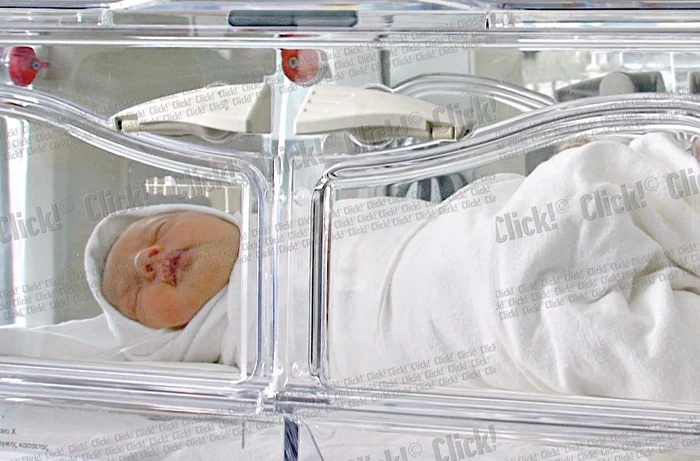 Descoperirea a fost făcută miercuri dimineaţă, în jurul orei 10.00, la marginea unei păduri izolate din satul Corlăteşti, în apropierea Ploieştiului (foto: Dana Mihai)