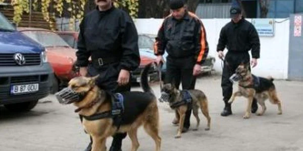 Botoşani: Continuă căutările pentru găsirea fetiţei dispărute