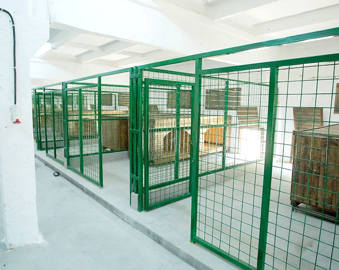 Animalele vor fi cazate în cuşti de lemn amplasate în ţarcuri de fier