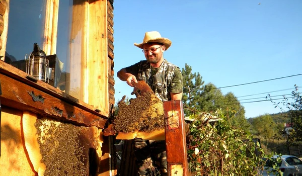 14700824 1805453223034107 2044985338165440673 o jpg