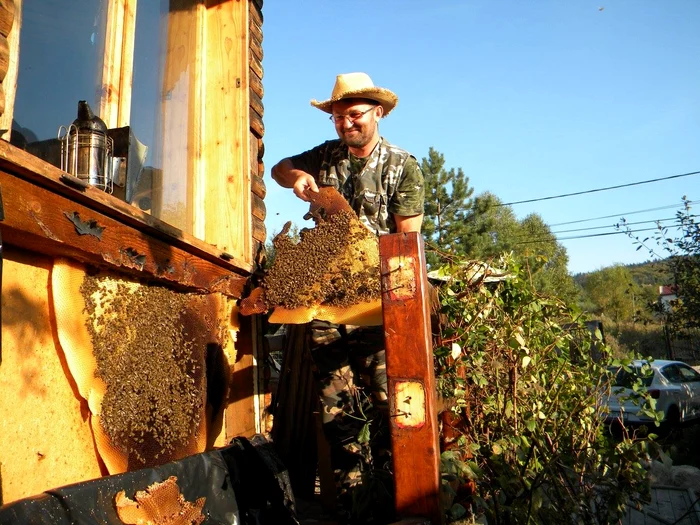 Mihai Grama. Sursă foto: Facebook