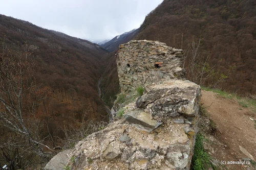 Cetatea Colț  Foto Daniel Guță  ADEVĂRUL (13) JPG
