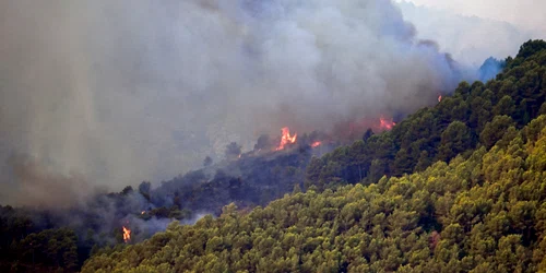 Incendii Spania. FOTO EPA-EFE