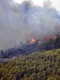 Incendii Spania. FOTO EPA-EFE