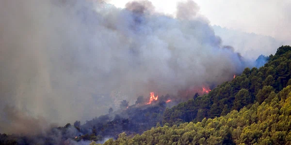 Incendii Spania. FOTO EPA-EFE
