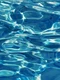 de ce sa alegi o piscina gonflabila sau cu structura metalica pentru gradina ta avantaje i beneficii jpg