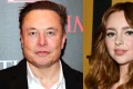 elon musk natasha bassett webp