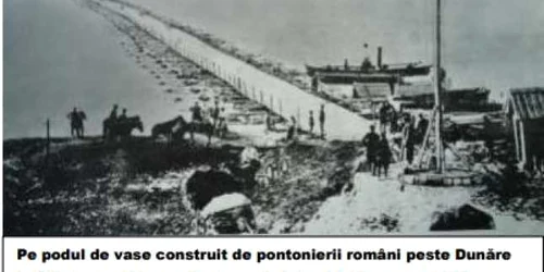 pod de vase peste dunăre