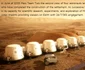 mars one 