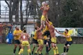 rugby romania spania jpg