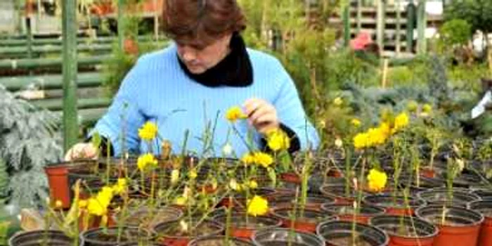 Serele din oraş au pregătită "producţia" pentru primăvară