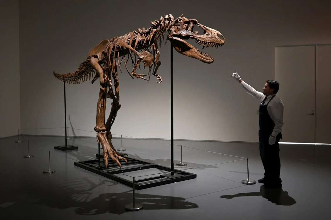 T-rex avea o mușcătură extrem de puternică și dinți uriași. FOTO: Profimedia