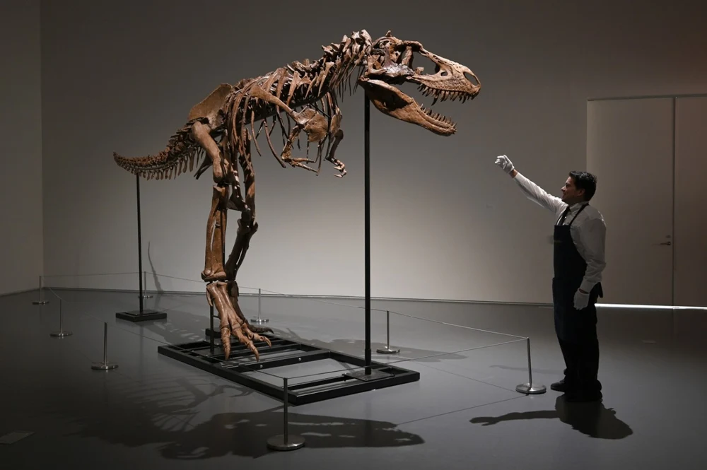 De ce avea T-Rex brațe atât de mici? Cercetătorii cred că au găsit explicația și este mai simplă decât crezi