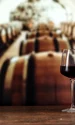 Vin - cramă FOTO Shutterstock 