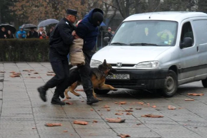 Suspecţii au fost prinşi în flagrant de poliţişti şi jandarmi