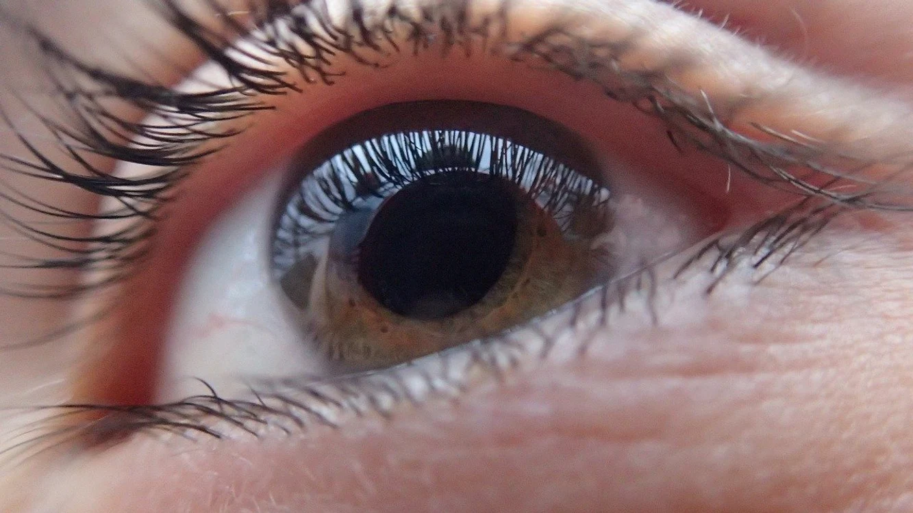 
    Hrana este un factor esenţial care influenţează sănătatea ochilorfoto: Pixabay  