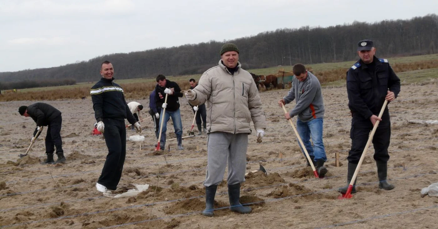 Jandarmii sătmăreni au plantat arbori la Ardud