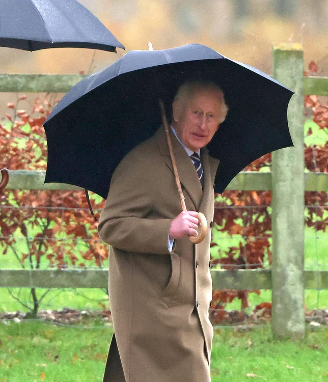 Charles în ploaie, Profimedia jpg