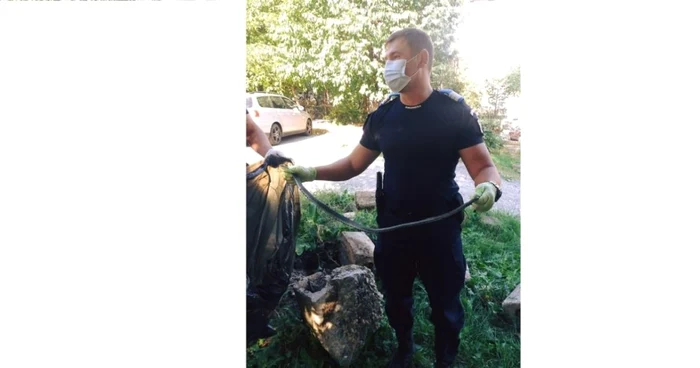 Şarpele a fost capturat în curtea şcolii FOTO Jandarmeria Sălaj