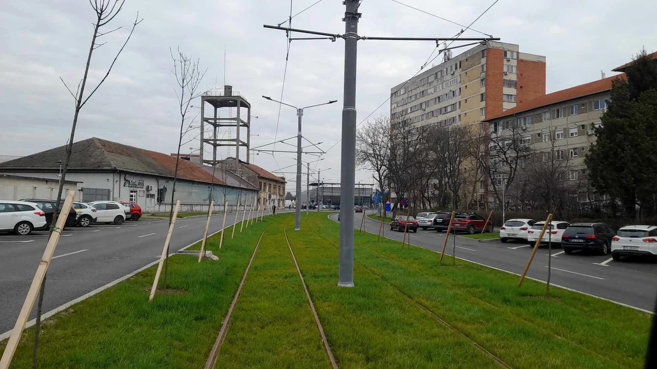Bulevardul Cetății din Timișoara FOTO Ștefan Both