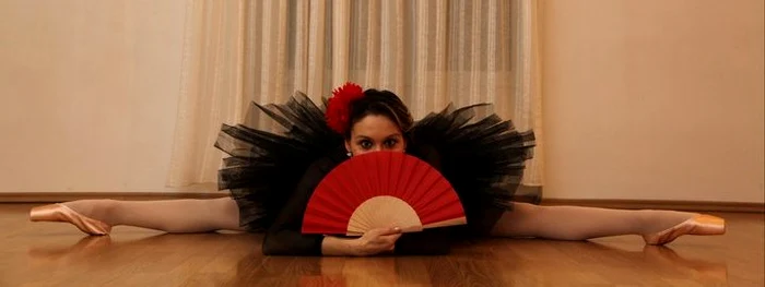 Balerina Andreea Toma 