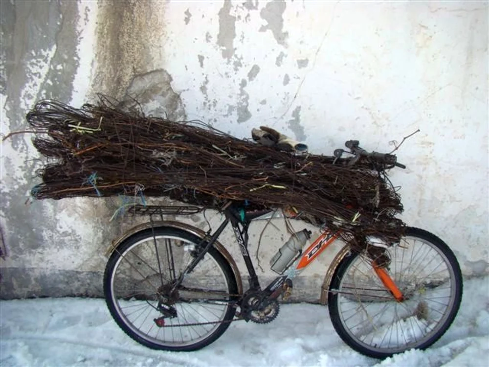 Bicicletele au fost confiscate (foto: IJJ Tulcea)