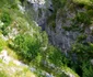 Parcul National Domogled Valea Cernei (1) jpg