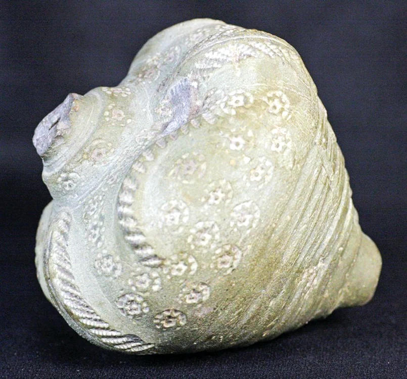 007 Ex Christies Byzantine Ceramic Greek Fire Hand Grenade  jpg jpeg